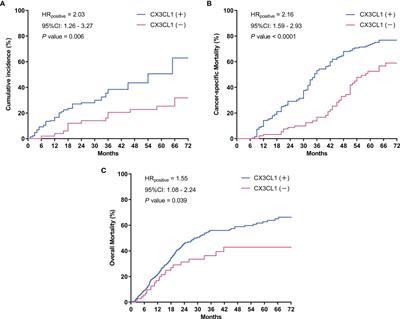 The Clinical Implications and Molecular Mechanism of CX3CL1 Expression in Urothelial Bladder Cancer